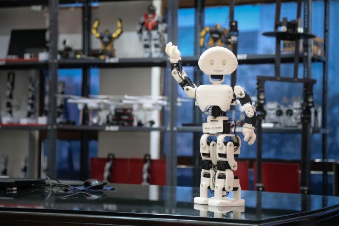 Humanoid Assistant H1